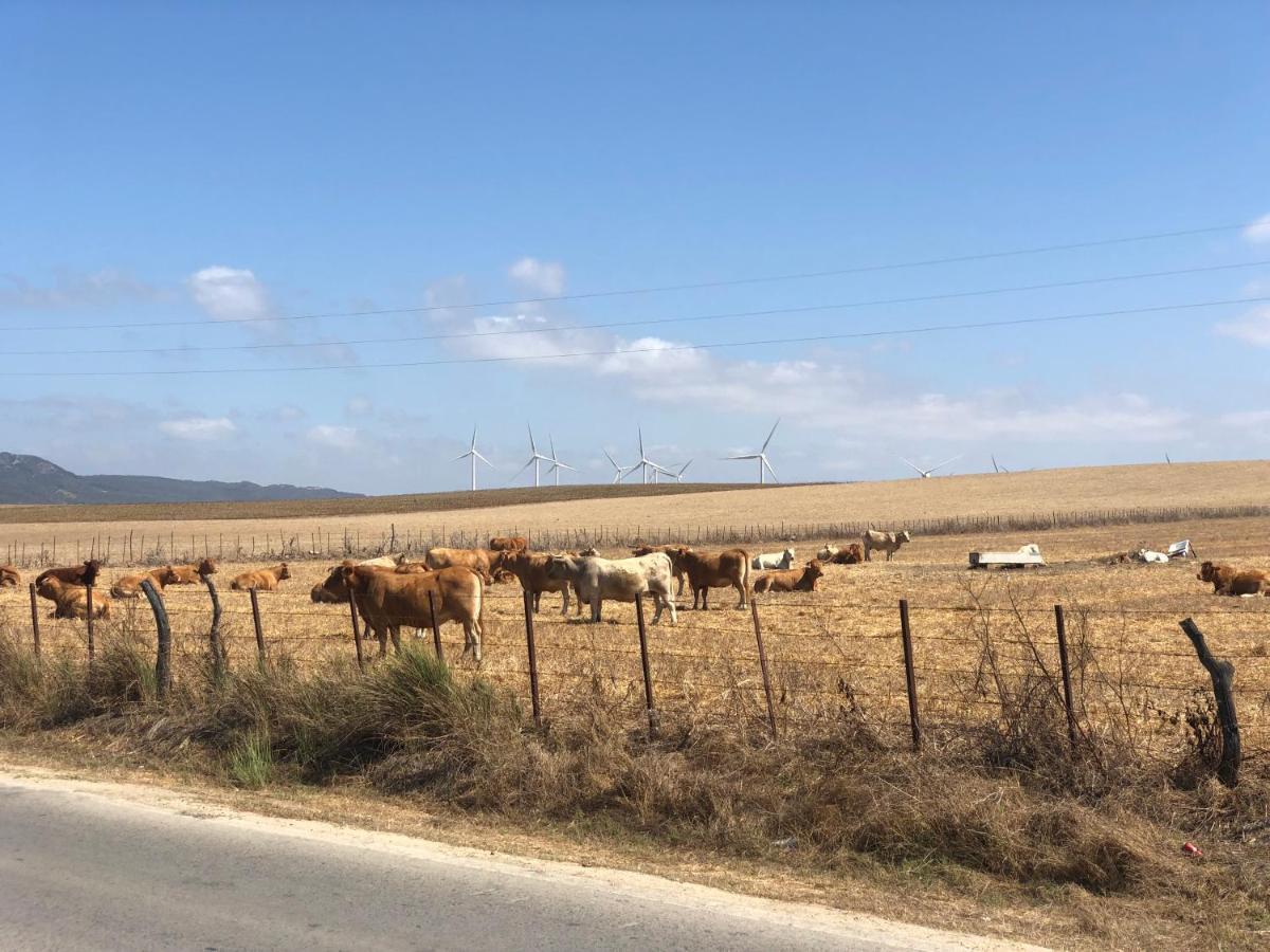 Apartamento Aretusa Zahara de los Atunes Bagian luar foto
